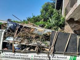 Best Hoarding Cleanup  in Independence, MO